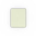 Pastel Lemon Stripes Apple iPad Case