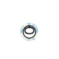 Snail Coastal Pattern Ring Holder